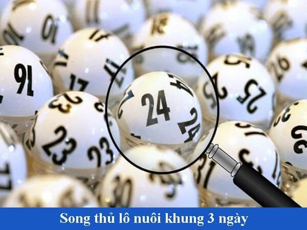 Nuôi lô song thủ khung 3 ngày là gì?