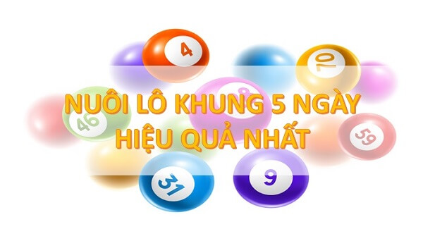 Khái niệm nuôi lô song thủ khung 5 ngày