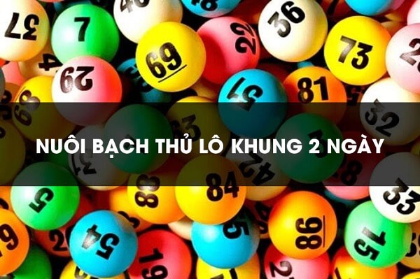 Cách nuôi bạch thủ lô khung 2 ngày miễn phí theo phương thức bạc nhớ