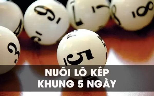 Những phương pháp nuôi lô kép khung 5 ngày mà bạn có thể áp dụng 