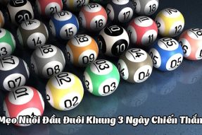 Cách Nuôi Đầu Đuôi Khung 3 Ngày Chiến Thắng Tuyệt Đối