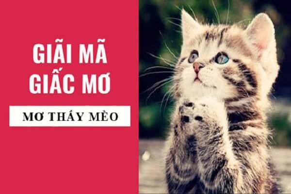 Giải mã giấc mơ thấy mèo