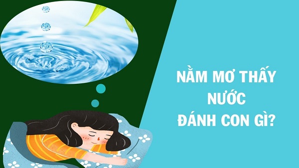 Nằm mơ thấy nước đánh con gì?