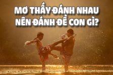 Mơ Thấy Đánh Nhau Mang Lại Điềm Báo Gì? Đánh Con Gì Hôm Nay?