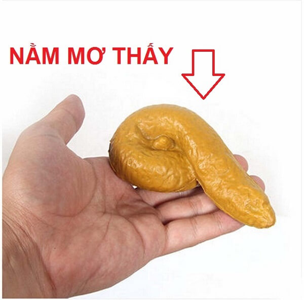 Nằm mơ thấy cứt nên đánh số nào?