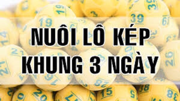 Nuôi lô kép khung 3 ngày 247 có điểm gì nổi trội?