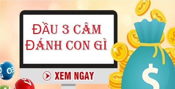 Đầu 3 câm đánh con gì?