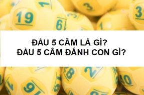 Đầu 5 Câm Hôm Sau Nên Đánh Con Gì? Số Mấy Để May Mắn?