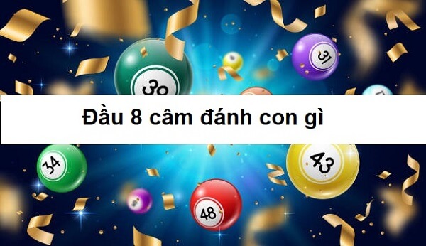 Những điều cần tránh khi gặp lô đầu 8 câm