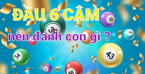 Đầu 6 câm hôm sau đánh con gì?