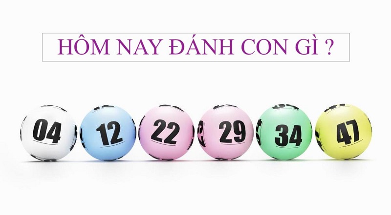 Thứ 5 đánh con gì? Lô hay về thứ 5 là những con nào?