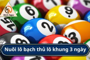 Nuôi Bạch Thủ Lô Khung 3 Ngày Chuẩn Xác, Miễn Phí