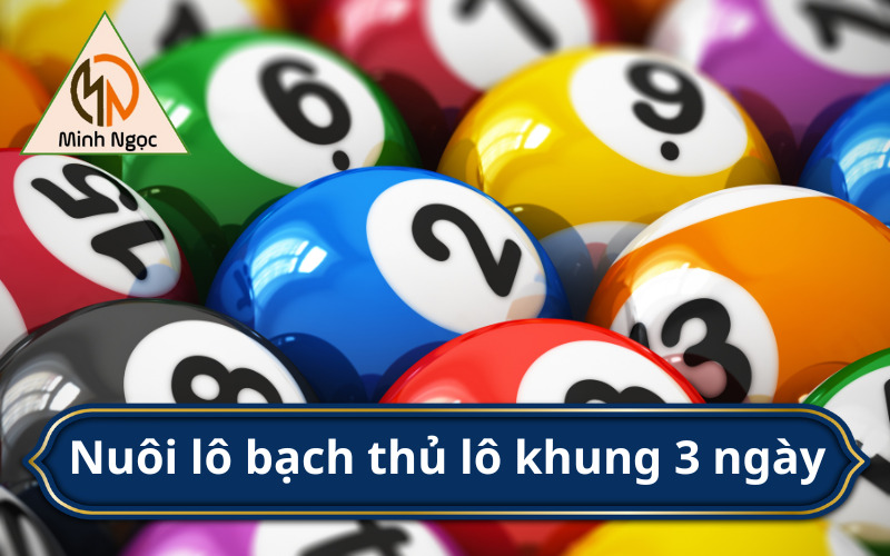 Nuôi lô bạch thủ lô khung 3 ngày 