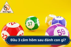 Đầu 3 câm hôm sau đánh con gì? Con số chuẩn nhất miễn phí?