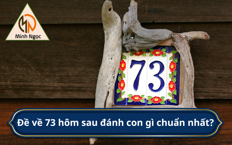 Đề về 73 hôm sau đánh con gì chuẩn nhất?