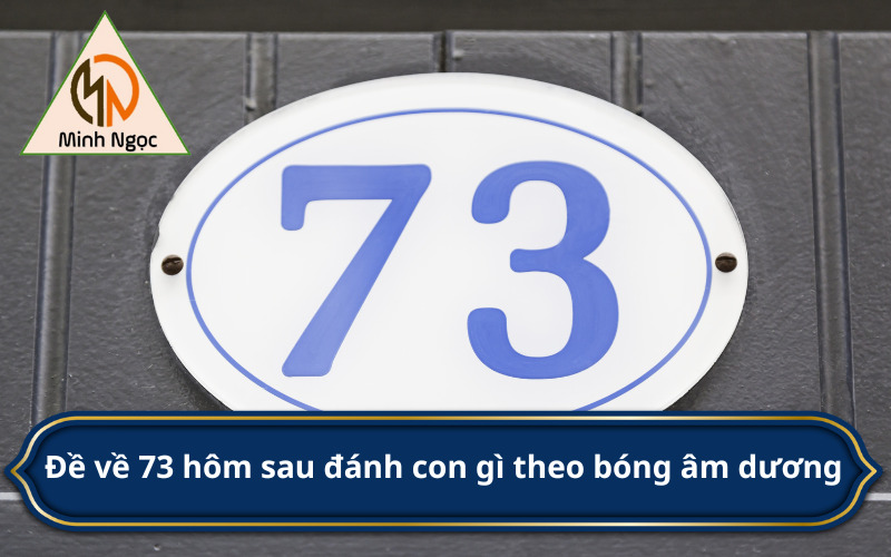 Đề về 73 hôm sau đánh con gì theo bóng âm dương