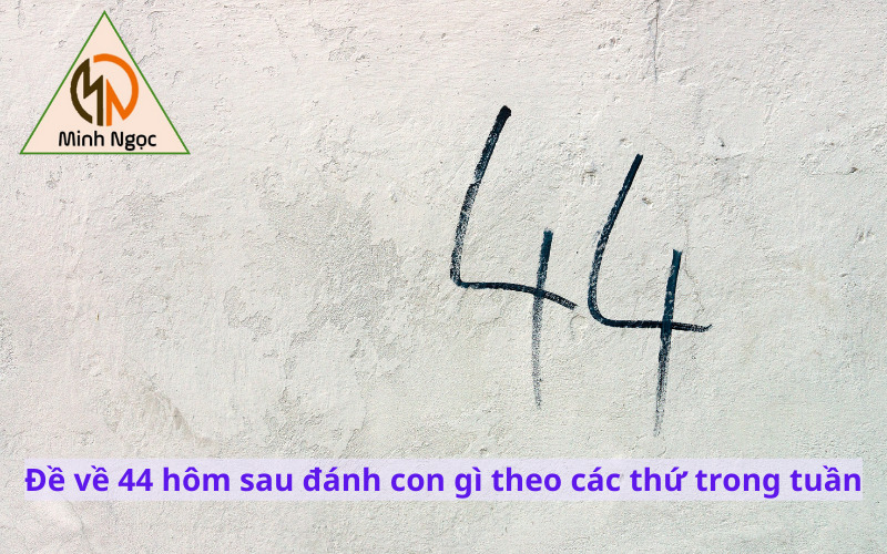 Đề về 44 hôm sau đánh con gì theo các thứ trong tuần