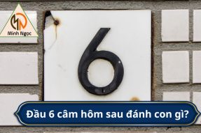 Lô đầu 6 câm hôm sau đánh con gì dễ trúng nhất?