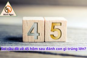 Đề về 45 hôm sau đánh con gì may mắn {Có thể bạn chưa biết}