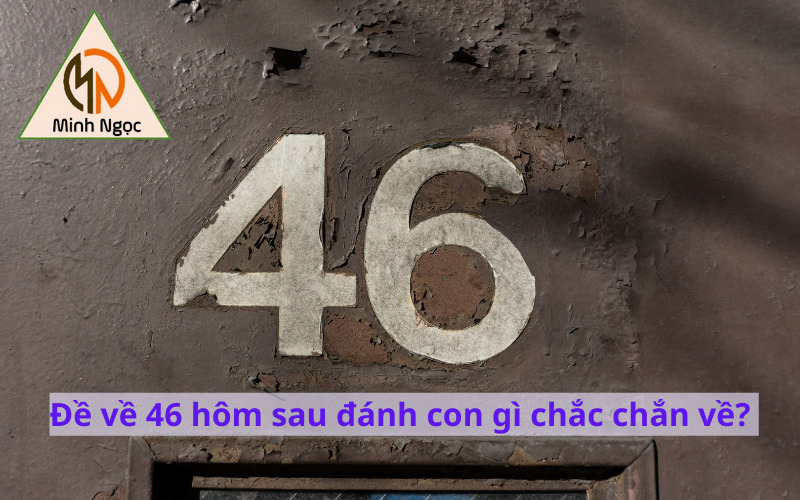 Đề về 46 hôm sau đánh con gì chắc chắn về? 