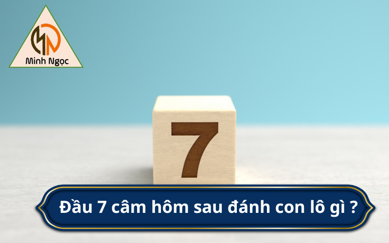 Đầu 7 câm hôm sau đánh con lô gì ?