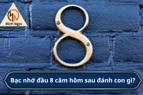 Đầu 8 câm đánh lô gì hôm sau? Kinh nghiệm đánh lô hiệu quả