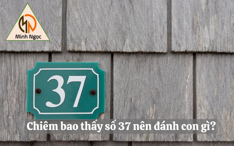 Chiêm bao thấy số 37 nên đánh con gì?