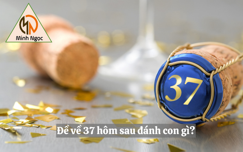 Đề về 37 hôm sau đánh con gì?
