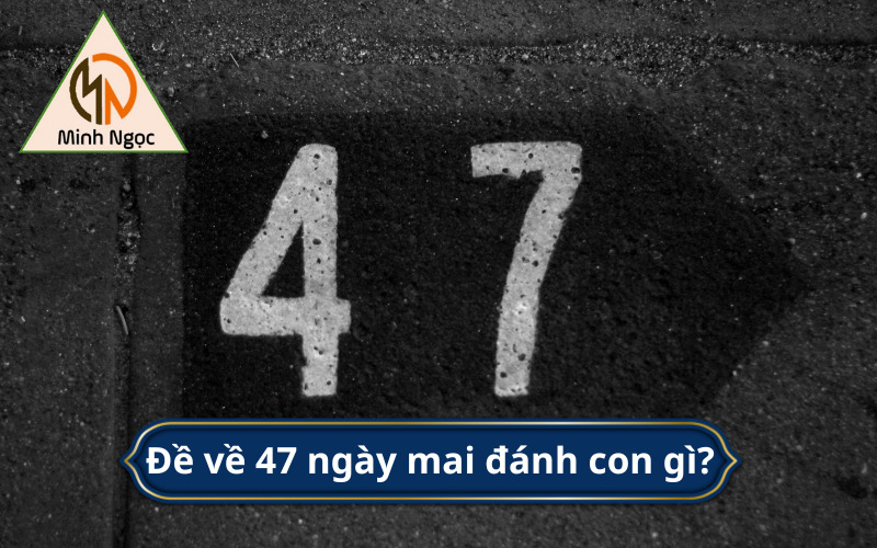 Đề về 47 ngày mai đánh con gì? 