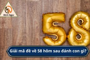 Đề về 58 hôm sau đánh con gì – Gợi ý bắt số đánh là trúng