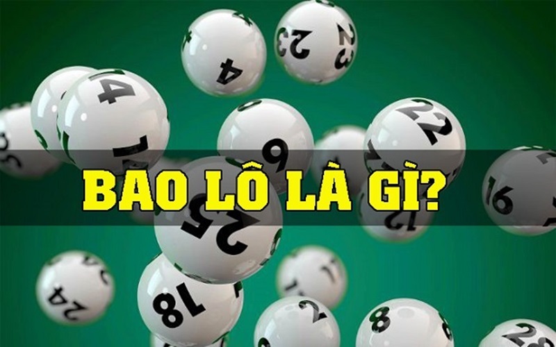 Bao lô là gì