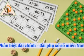 Xổ số đài chính hôm nay là đài gì? Phân biệt đài chính và đài phụ 