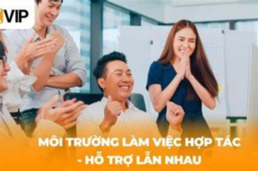 Liên Minh OKVIP Đi Đầu Trong Lĩnh Vực Giải Trí Trực Tuyến