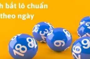 Top những cách bắt lô ăn quanh năm chuẩn nhất 2024