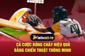 Cá cược bóng chày hiệu quả bằng chiến thuật thông minh