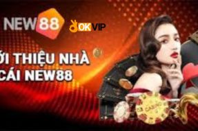 New88 – Thiên đường cá cược đẳng cấp uy tín tại liên minh Okvip