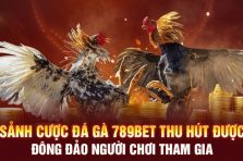 Đá Gà 789bet – Sức Hút Mạnh Mẽ Từ Những Màn Đối Đầu Kịch Tính