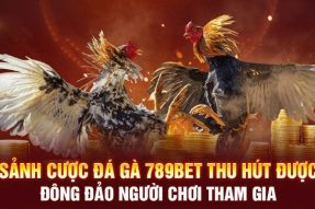 Đá Gà 789bet – Sức Hút Mạnh Mẽ Từ Những Màn Đối Đầu Kịch Tính