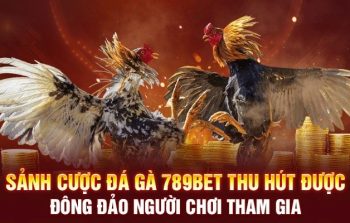 Đá Gà 789bet – Sức Hút Mạnh Mẽ Từ Những Màn Đối Đầu Kịch Tính