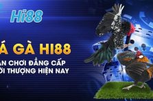 Đá Gà Hi88 – Chia sẻ bí kíp chơi đá gà hiệu quả cho kê thủ