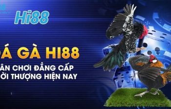 Đá Gà Hi88 – Chia sẻ bí kíp chơi đá gà hiệu quả cho kê thủ