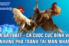 Đá Gà F8BET: Trực tiếp kịch tính, cược thả ga