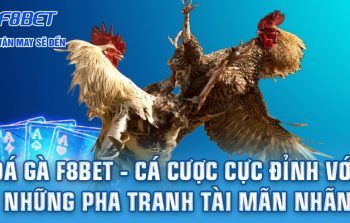 Đá Gà F8BET: Trực tiếp kịch tính, cược thả ga