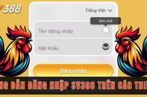 Hướng dẫn đăng nhập Sv388 trong tích tắc 