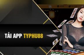 Hướng dẫn tải app Typhu88 chi tiết từ A đến Z cho bet thủ