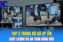 Top 5 Trang Đá Gà Uy Tín, Chất Lượng Và An Toàn Hàng Đầu