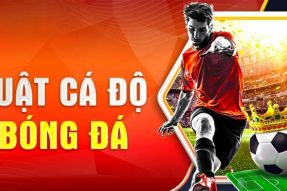 Luật cá độ bóng đá cơ bản người chơi nhất định phải biết