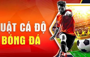 Luật cá độ bóng đá cơ bản người chơi nhất định phải biết